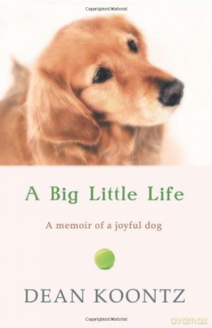 A Big Little Life - Dean Koontz [KSIĄŻKA]
