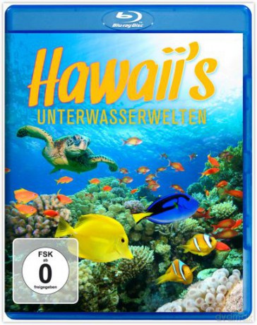 Hawaii's Unterwasserwelten [Blu-Ray]