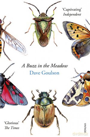 A Buzz in the Meadow: Dave Goulson - Dave Goulson [KSIĄŻKA]