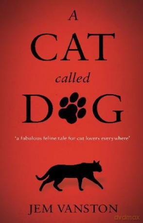 A Cat Called Dog - Jem Vanston [KSIĄŻKA]