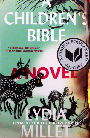 A Children's Bible: A Novel - Lydia Millet [KSIĄŻKA]