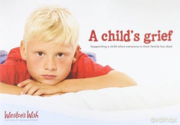 A Child's Grief: Supporting a Child When Someone in Their Family Has Died - Di Stubbs [KSIĄŻKA]