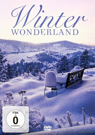Winter Wonderland [DVD]