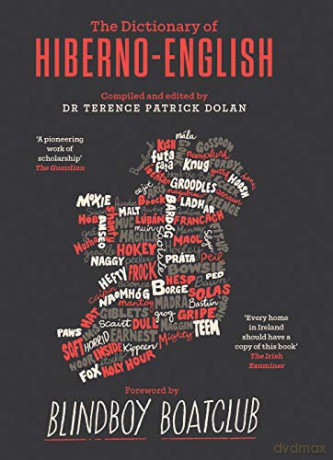 A Dictionary of Hiberno English - Terence Patrick Dolan [KSIĄŻKA]