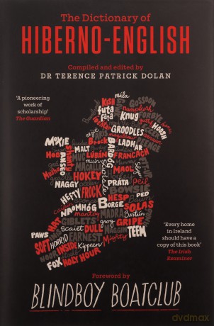 A Dictionary of Hiberno English - Terence Patrick Dolan [KSIĄŻKA]