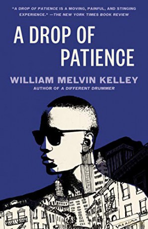 A Drop of Patience - William Melv Kelley [KSIĄŻKA]
