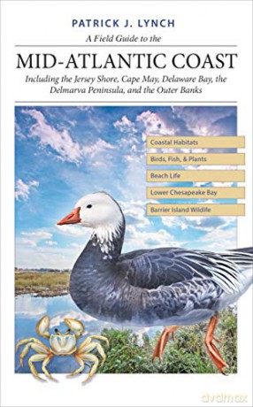 A Field Guide to the Mid-Atlantic Coast: Including the Jersey Shore, Cape May, Delaware Bay, the Delmarva Peninsula, and the Outer Banks - Patrick J. Lynch [KSIĄŻKA]