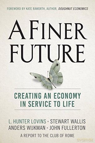 A Finer Future: Creating an Economy in Service to Life - L. Hunter Lovins [KSIĄŻKA]
