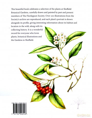 A Florilegium: Sheffield's Hidden Garden - Valerie The Florilegium Society at Sheffield Botanical Gardens [KSIĄŻKA]