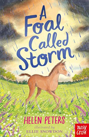 A Foal Called Storm The Jasmine Green Series, 11 - Helen Peters [KSIĄŻKA]