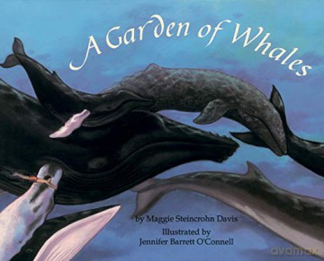 A Garden of Whales - Maggie Davis [KSIĄŻKA]