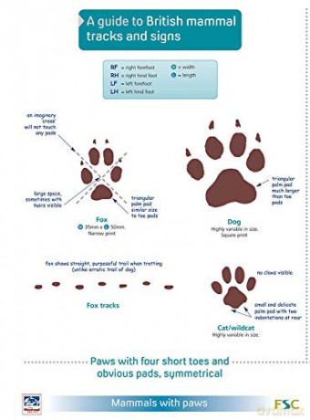 A Guide to British Mammal Tracks and Signs [KSIĄŻKA]