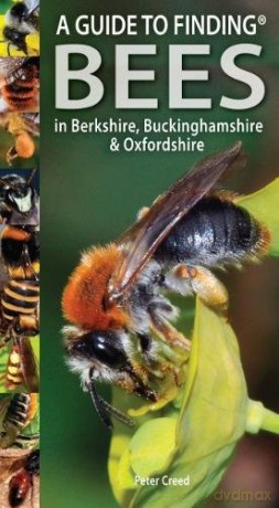 A Guide to Finding Bees in Berkshire, Buckinghamshire and Oxfordshire - Peter Creed [KSIĄŻKA]