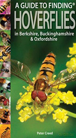 A Guide to Finding Hoverflies in Berkshire, Buckinghamshire and Oxfordshire - Peter Creed [KSIĄŻKA]
