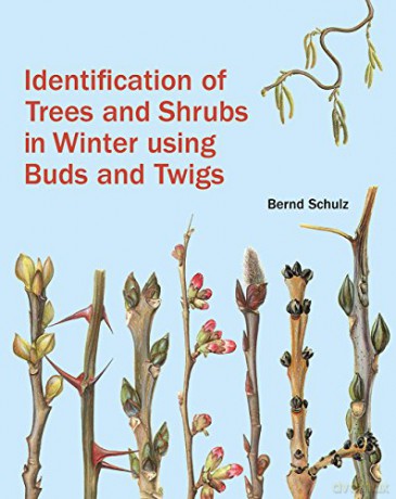 Identification Of Trees And Shrubs In Winter Using Buds And Twigs - Bernd Schulz [KSIĄŻKA]