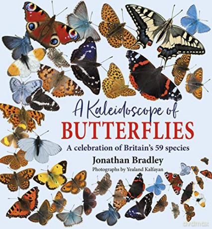 A Kaleidoscope of Butterflies: A celebration of Britain's 59 species: Britain's 59 resident species - Jonathan Bradley [KSIĄŻKA]