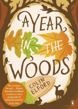 A Year in the Woods: The Diary of a Forest Ranger - Colin Elford [KSIĄŻKA]