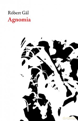 Agnomia Slovakian Literature - Robert Gal [KSIĄŻKA]