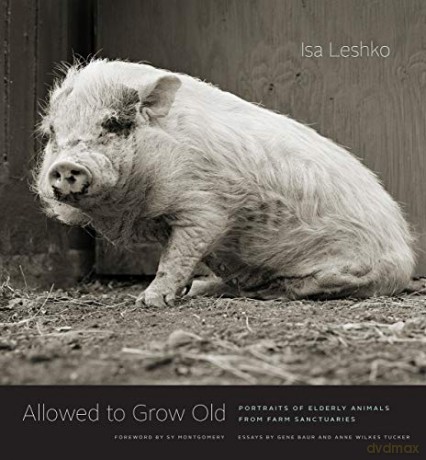 Allowed to Grow Old: Portraits of Elderly Animals from Farm Sanctuaries - Isa Leshko [KSIĄŻKA]