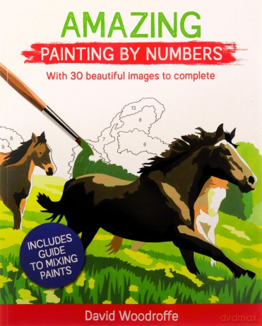 Amazing Painting by Numbers: With 30 Beautiful Images to Complete. Includes Guide to Mixing Paints - David Woodroffe [KSIĄŻKA]