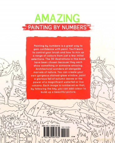 Amazing Painting by Numbers: With 30 Beautiful Images to Complete. Includes Guide to Mixing Paints - David Woodroffe [KSIĄŻKA]