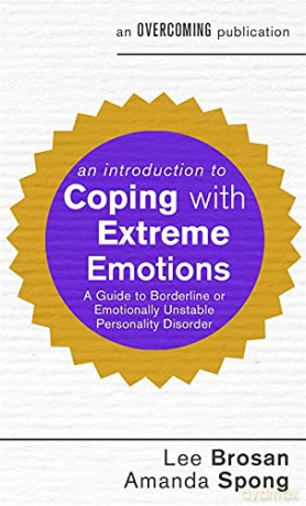 An Introduction to Coping with Extreme Emotions: A Guide to Borderline or Emotionally Unstable Personality Disorder An Introduction to Coping series - Lee Brosan [KSIĄŻKA]