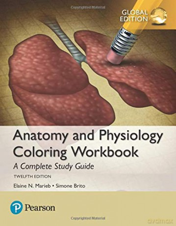 Anatomy and Physiology Coloring Workbook: A Complete Study Guide - Elaine Marieb [KSIĄŻKA]