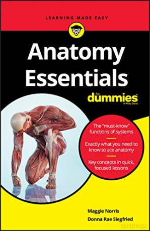 Anatomy Essentials For Dummies - Norris [KSIĄŻKA]