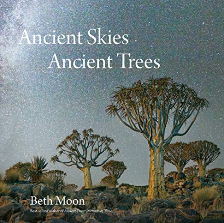 Ancient Skies, Ancient Trees - Beth Moon [KSIĄŻKA]