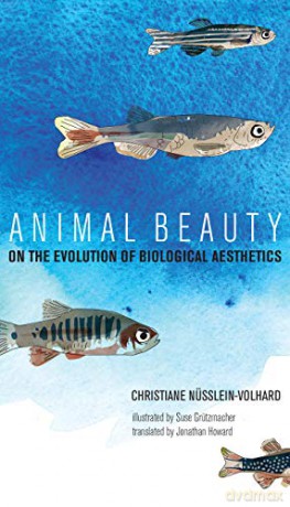 Animal Beauty: On the Evolution of Biological Aesthetics The MIT Press - Christiane Nosslein-Volhard [KSIĄŻKA]