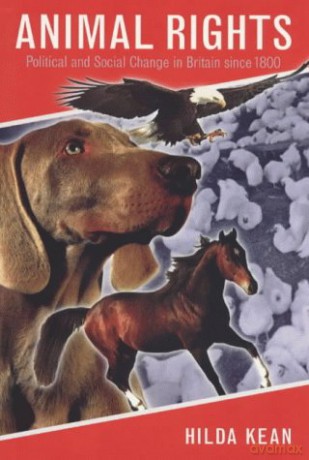 Animal Rights: Political and Social Change in Britain Since 1800: Political and Social Pb - Hilda Kean [KSIĄŻKA]