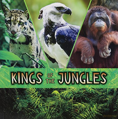 Animal Rulers: Kings of the Jungles - Lisa J. Amstutz [KSIĄŻKA]
