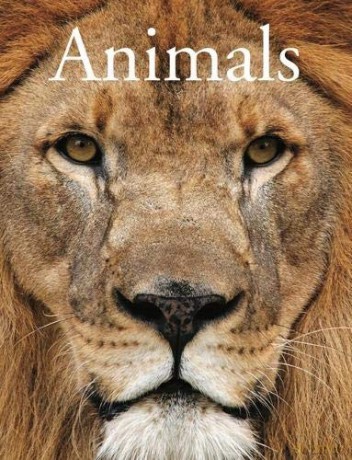 Animals - David Alderton [KSIĄŻKA]