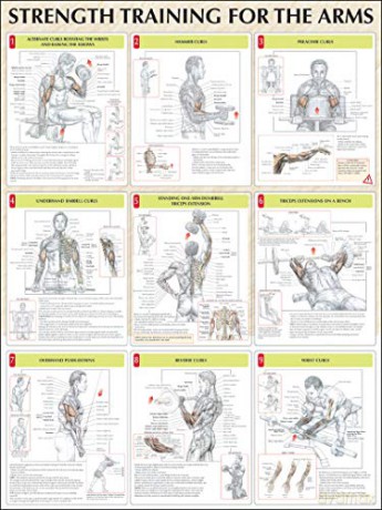 Arms Poster - Frederic Delavier [KSIĄŻKA]