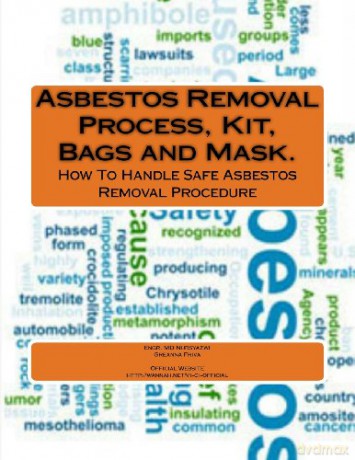 Asbestos Removal Process, Kit, Bags and Mask. - Engr MD Nursyazwi Mohammad [KSIĄŻKA]