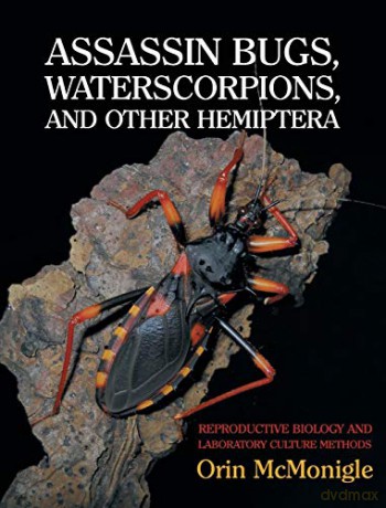 Assassin Bugs, Waterscorpions, and Other Hemiptera: Reproductive Biology and Laboratory Culture Methods - Orin McMonigle [KSIĄŻKA]
