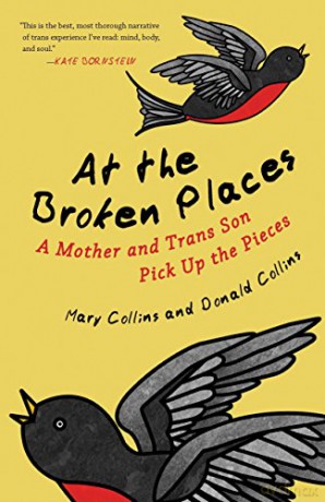 At the Broken Places: A Mother and Trans Son Pick Up the Pieces Queer Action/Queer Ideas, a Unique Series Addressing Pivotal Issues Within the Lgbtq Movement - Donald Collins [KSIĄŻKA]