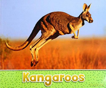 Australian Animals: Kangaroos - Sara Louise Kras [KSIĄŻKA]