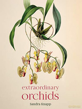Extraordinary Orchids - Sandra Knapp [KSIĄŻKA]