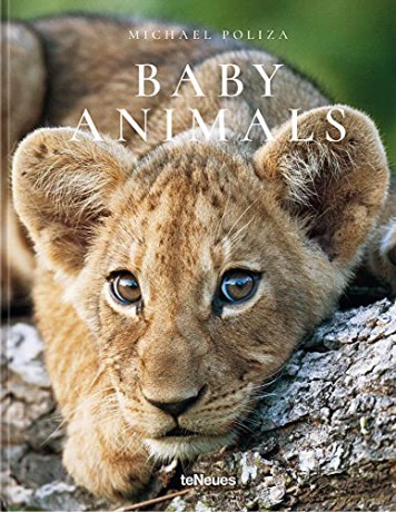 Baby Animals - Michael Poliza [KSIĄŻKA]