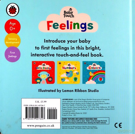 Baby Touch: Feelings - Ladybird [KSIĄŻKA]