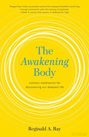 The Awakening Body: Body-Based Meditations For Wisdom, Freedom, And Joy: Somatic Meditation For Discovering Our Deepest Life - Reginald Ray [KSIĄŻKA]