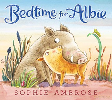 Bedtime for Albie: 1 - Sophie Ambrose [KSIĄŻKA]