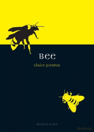 Bee Animal Animal Series - Claire Preston [KSIĄŻKA]