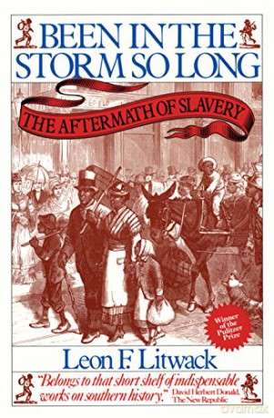 Been in the Storm So Long: The Aftermath of Slavery - Leon F. Litwack [KSIĄŻKA]