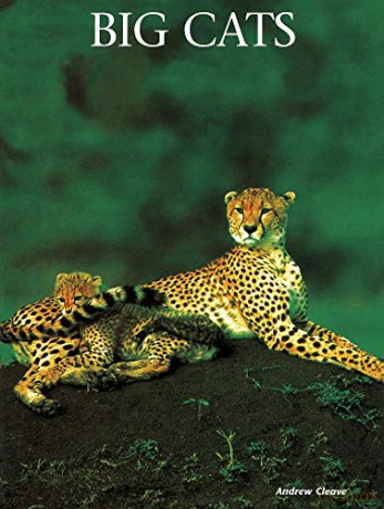 Big Cats: A Portrait of the Animal World Animals in the Wild - Andrew Cleave [KSIĄŻKA]