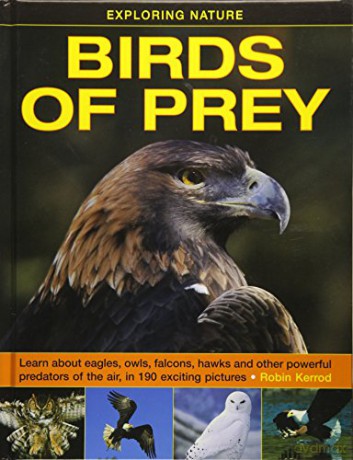 Birds of Prey Exploring Nature: Learn about Eagles, Owls, Falcons, Hawks and Other Powerful Predators of the Air, in 190 Exciting Pictures - Robin Kerrod [KSIĄŻKA]
