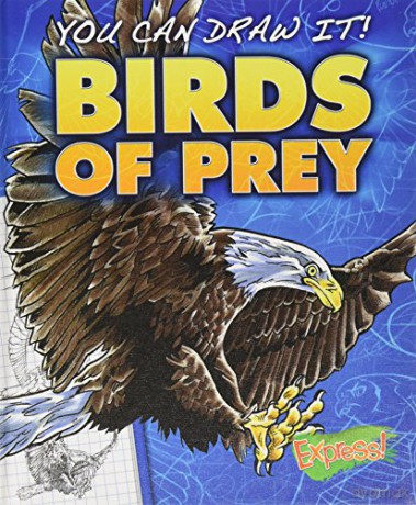 Birds of Prey You Can Draw It! - Jon Eppard [KSIĄŻKA]