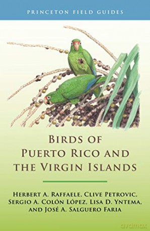 Birds of Puerto Rico and the Virgin Islands: Fully Revised and Updated Third Edition: 146 Princeton Field Guides, 146 - Herbert A.,Petrovic, Clive,López, Sergio A. Colón,Yntema, Lisa D.,Faria, José A. Salguero Raffaele [KSIĄŻKA]