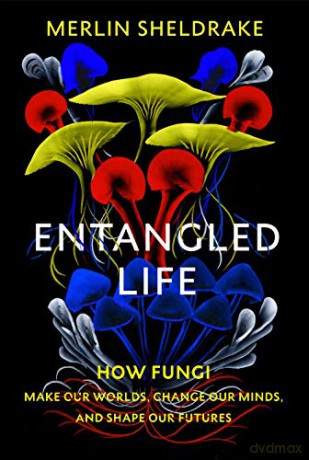 Entangled Life: How Fungi Make Our Worlds, Change Our Minds And Shape Our Futures - Merlin Sheldrake [KSIĄŻKA]